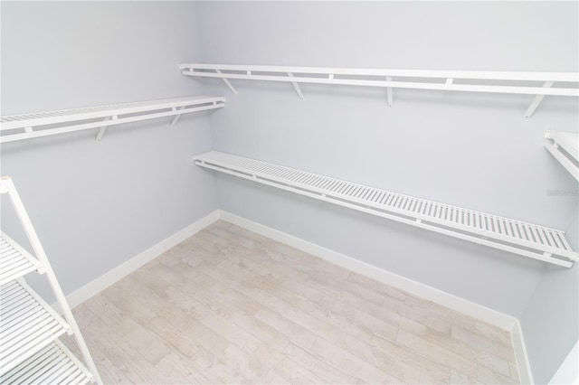 113 Douglas St, Edgewater, FL 32141 - walk in closet featuring light wood-type flooring