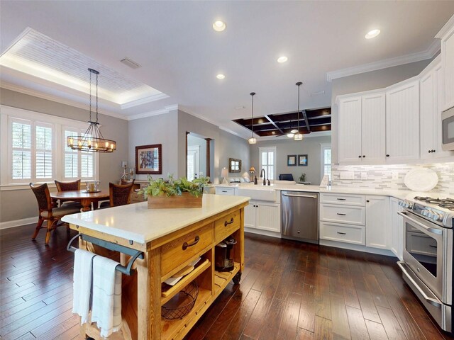 2656 Old Smyrna Trl, New Smyrna Beach, FL 32168 - kitchen with dark wood-style flooring, stainless steel appliances, a raised ceiling, a wealth of natural light, and a peninsula