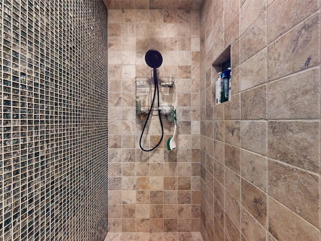 2656 Old Smyrna Trl, New Smyrna Beach, FL 32168 - room details with tiled shower