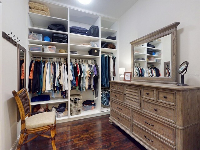 2656 Old Smyrna Trl, New Smyrna Beach, FL 32168 - spacious closet featuring dark wood-type flooring