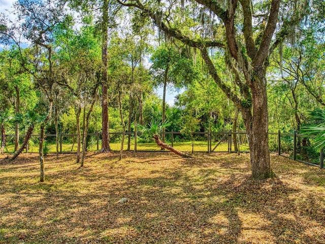 2656 Old Smyrna Trl, New Smyrna Beach, FL 32168 - view of yard with fence