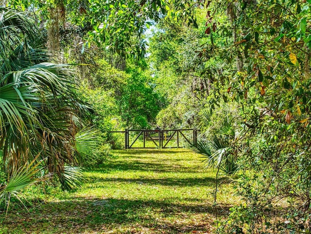 2656 Old Smyrna Trl, New Smyrna Beach, FL 32168 - surrounding community with fence and a lawn