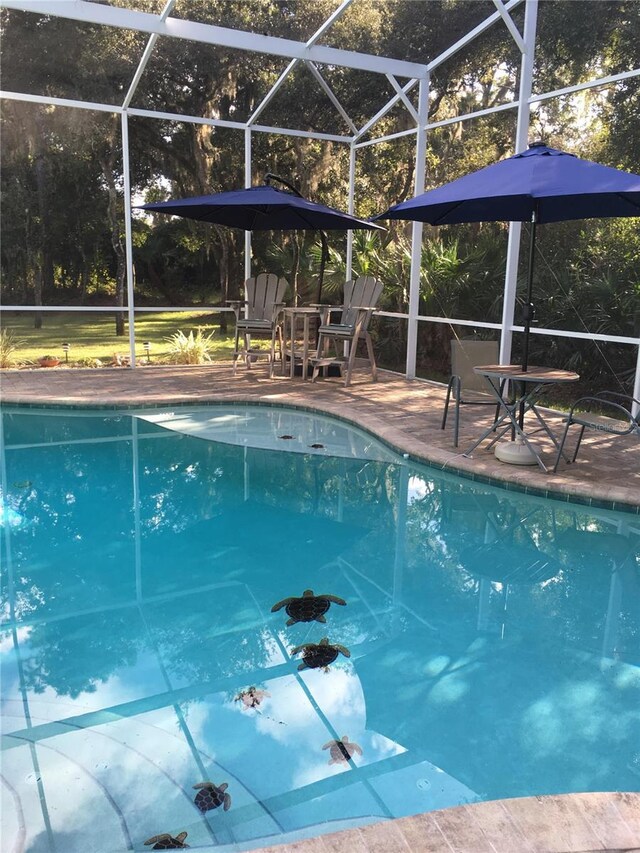 2656 Old Smyrna Trl, New Smyrna Beach, FL 32168 - outdoor pool featuring a patio and glass enclosure