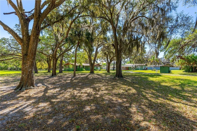 191 Howes St, Oak Hill, FL 32759 - view of yard