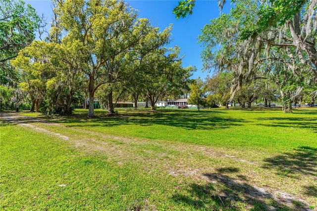191 Howes St, Oak Hill, FL 32759 - view of yard