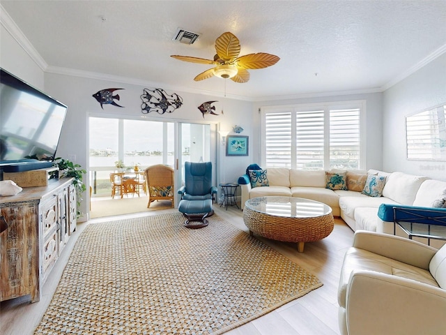 438 Bouchelle Dr Unit 104, New Smyrna Beach, FL 32169 - living room featuring light wood-type flooring, a ceiling fan, ornamental molding, and visible vents
