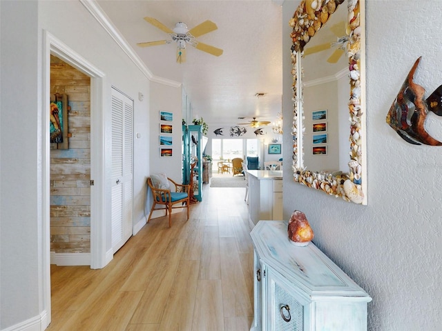 438 Bouchelle Dr Unit 104, New Smyrna Beach, FL 32169 - hall featuring ornamental molding, baseboards, wooden walls, and light wood finished floors
