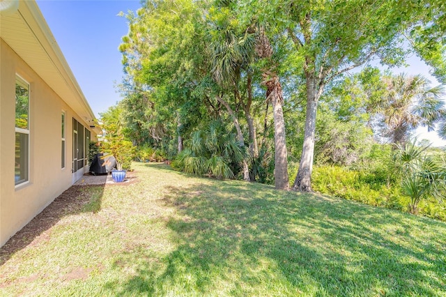 3331 Torre Blvd, New Smyrna Beach, FL 32168 - view of yard