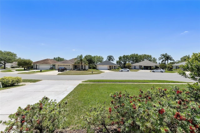 view of yard featuring a residential view