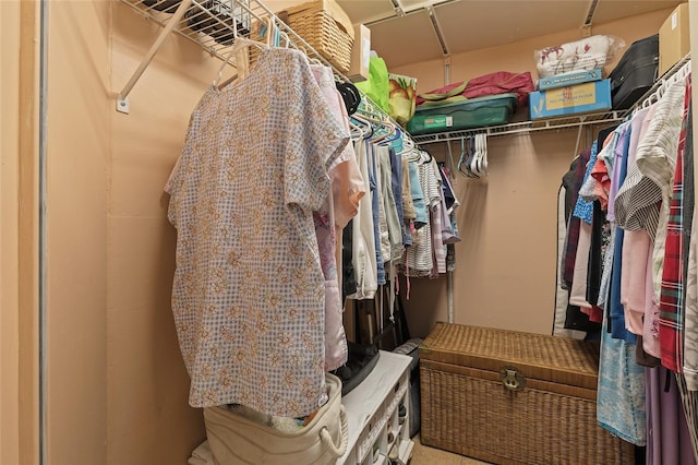 view of walk in closet