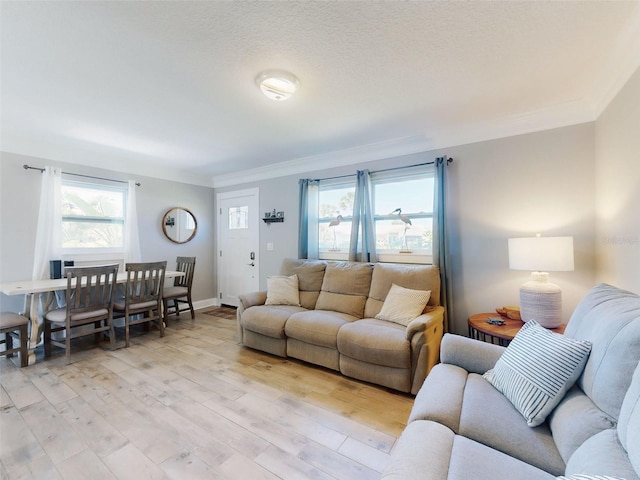 16 Hillside Dr, New Smyrna Beach, FL 32169 - living area featuring ornamental molding, baseboards, plenty of natural light, and light wood-style floors