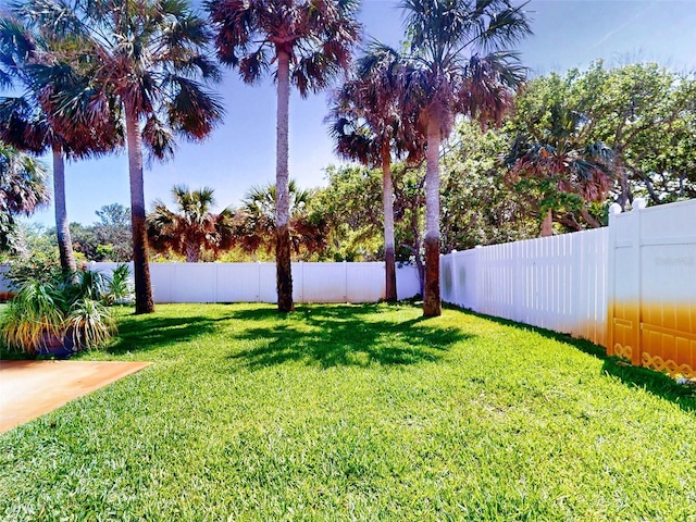 16 Hillside Dr, New Smyrna Beach, FL 32169 - view of yard with a fenced backyard