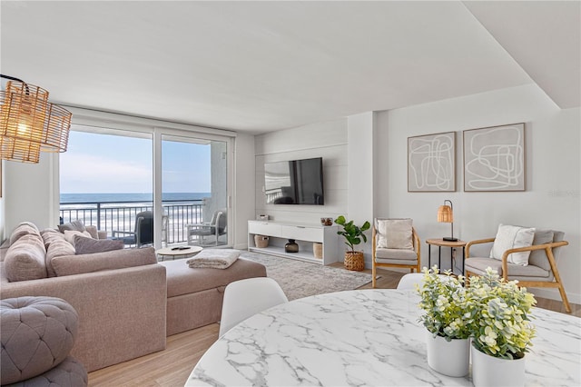 705 N Atlantic Ave Unit 4030, New Smyrna Beach, FL 32169 - living area featuring wood finished floors and floor to ceiling windows