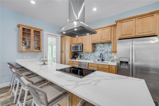 kitchen featuring glass insert cabinets, a sink, appliances with stainless steel finishes, island range hood, and decorative backsplash