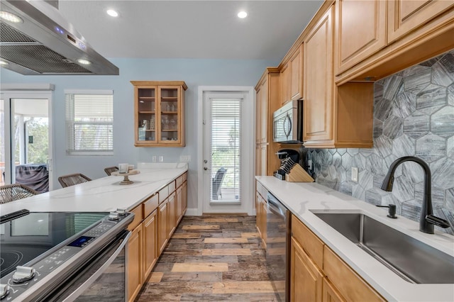 kitchen with exhaust hood, a sink, a wealth of natural light, and stainless steel appliances