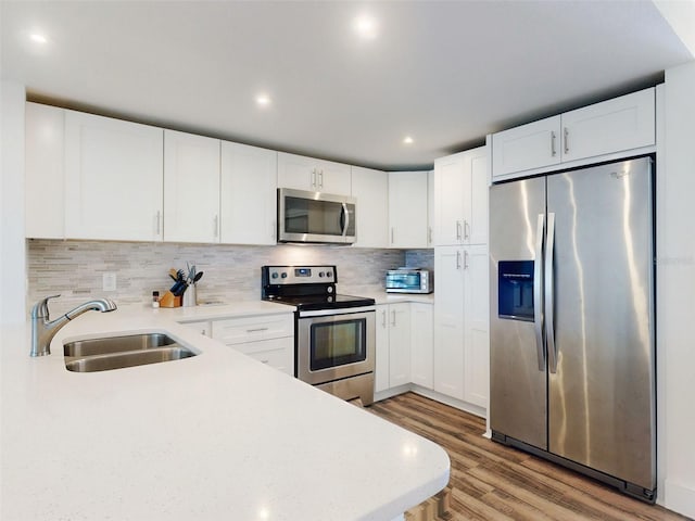 kitchen featuring a sink, light countertops, light wood finished floors, and stainless steel appliances