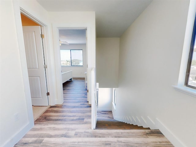 4752 S Atlantic Ave Unit 1, Ponce Inlet, FL 32127 - hall with wood finished floors and baseboards