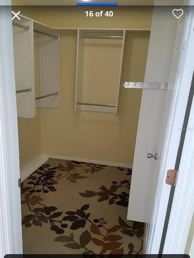 view of spacious closet