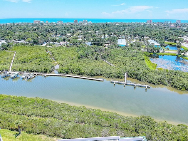 bird's eye view featuring a water view