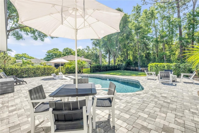 170 Live Oak Ct, New Smyrna Beach, FL 32168 - view of swimming pool with a fenced in pool, a patio, and a fenced backyard