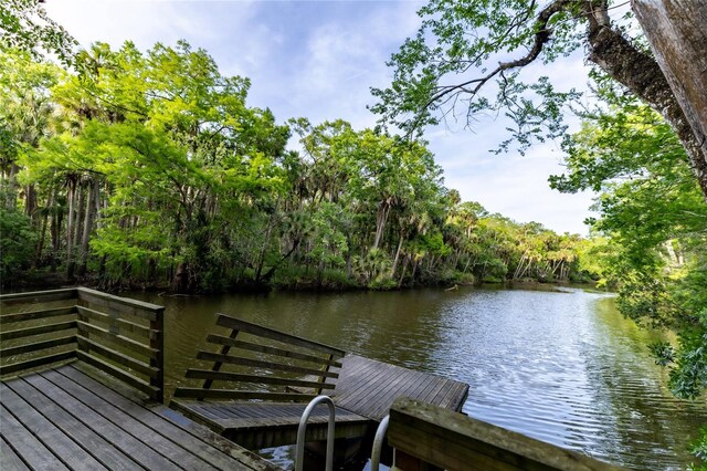 1787 Earhart Ct, Port Orange, FL 32128 - photo 48