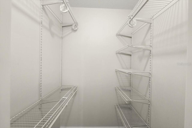 3644 Dame St, Port Orange, FL 32129 - view of walk in closet