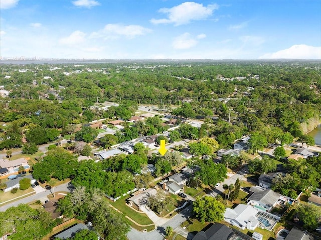 3644 Dame St, Port Orange, FL 32129 - birds eye view of property with a residential view and a wooded view