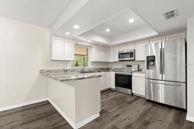 kitchen featuring a tray ceiling, visible vents, dark wood-type flooring, a peninsula, and appliances with stainless steel finishes
