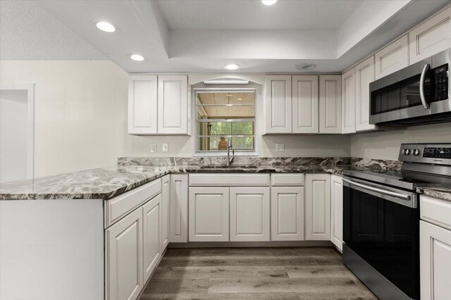 kitchen featuring light wood finished floors, stainless steel appliances, a peninsula, a sink, and stone counters