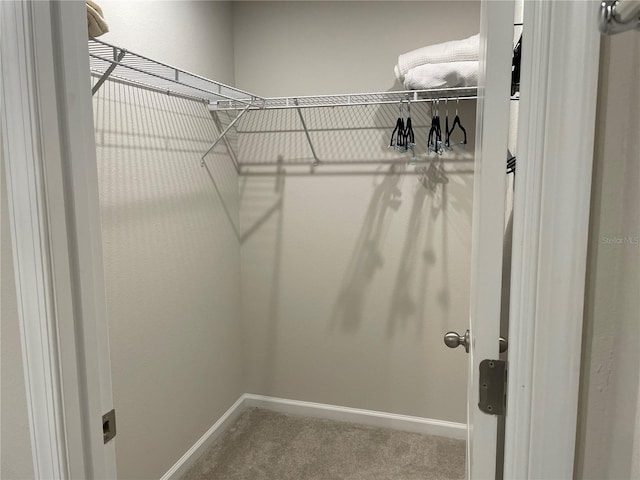 spacious closet featuring carpet flooring