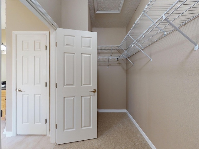 walk in closet with light colored carpet