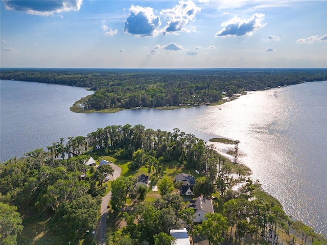2499 SE 30th St, Melrose, FL 32666 - photo 85