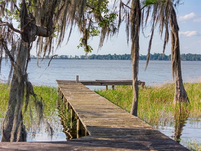 2499 SE 30th St, Melrose, FL 32666 - photo 91