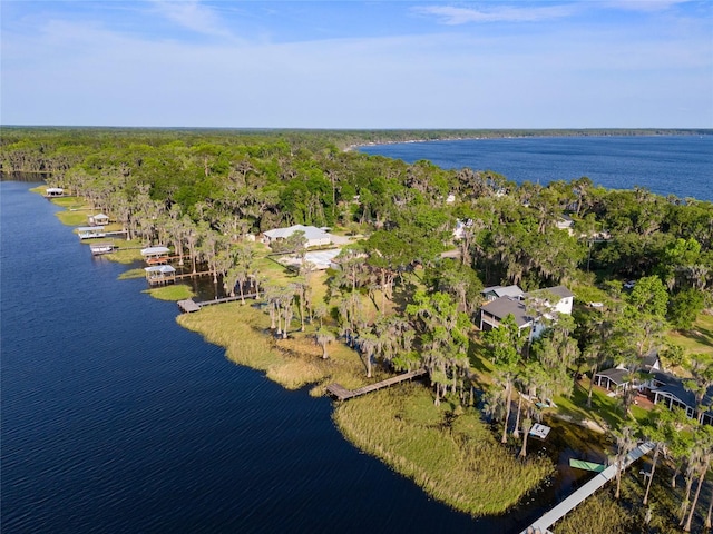 2499 SE 30th St, Melrose, FL 32666 - photo 95