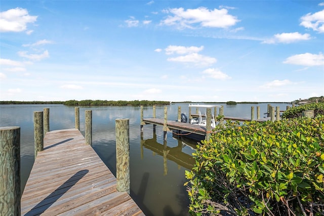 view of dock with a water view