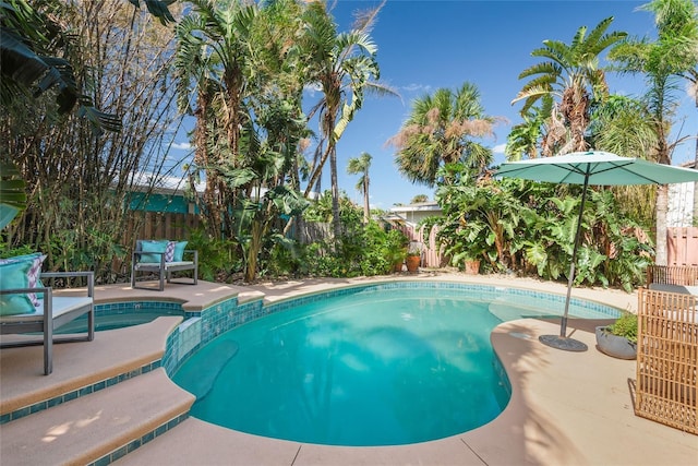 view of pool featuring a fenced backyard, a fenced in pool, and a patio area