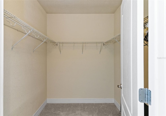spacious closet with carpet flooring