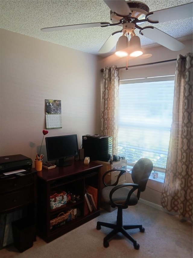 227 Two Oaks Dr, Edgewater, FL 32141 - photo 17