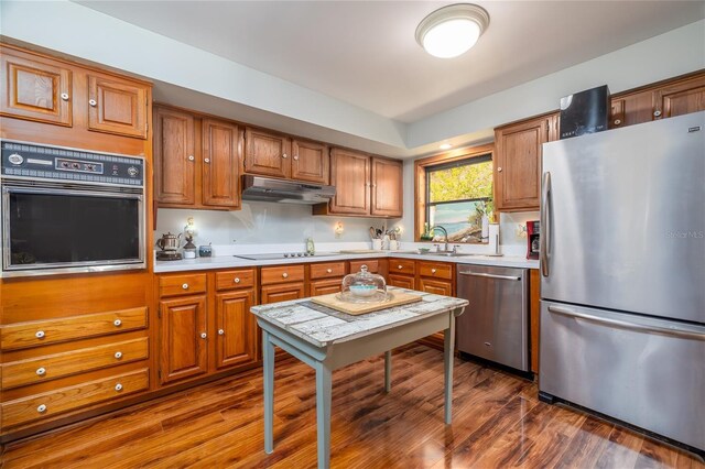 825 E 23rd Ave, New Smyrna Beach, FL 32169 - kitchen featuring appliances with stainless steel finishes, a sink, light countertops, dark wood-type flooring, and under cabinet range hood