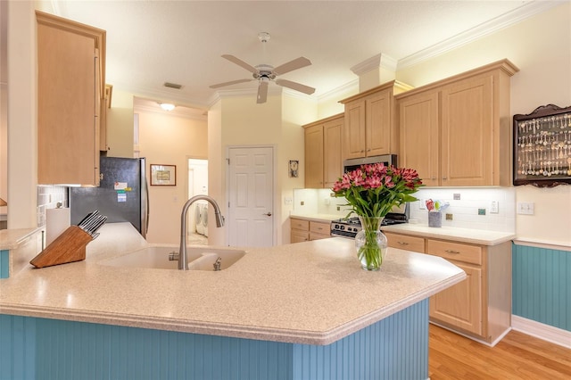 2815 Bay Side Dr, New Smyrna Beach, FL 32168 - kitchen featuring appliances with stainless steel finishes, ceiling fan, a sink, visible vents, and a peninsula
