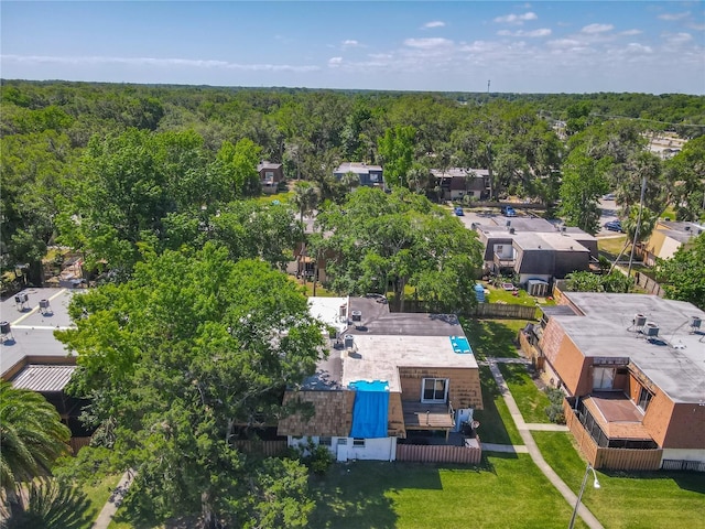 95 Moonstone Ct, Port Orange, FL 32129 - drone / aerial view of a forest