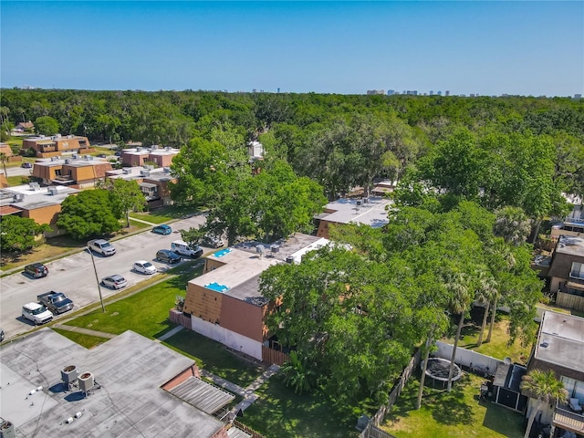 95 Moonstone Ct, Port Orange, FL 32129 - aerial view of a forest