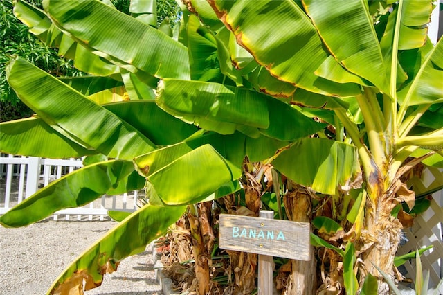 view of details