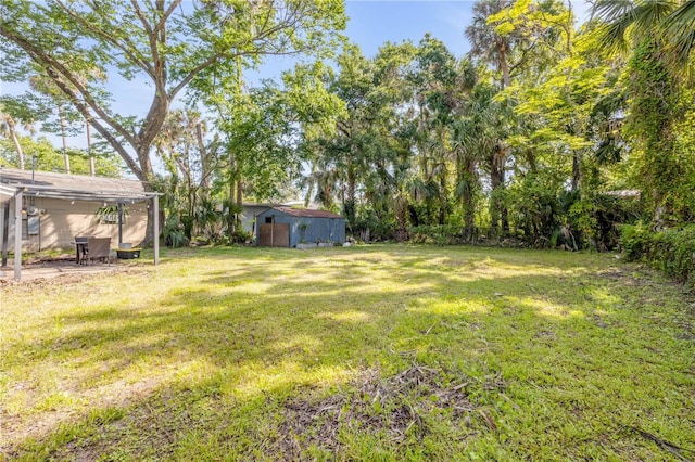 431 Palmetto St, Edgewater, FL 32132 - view of green lawn