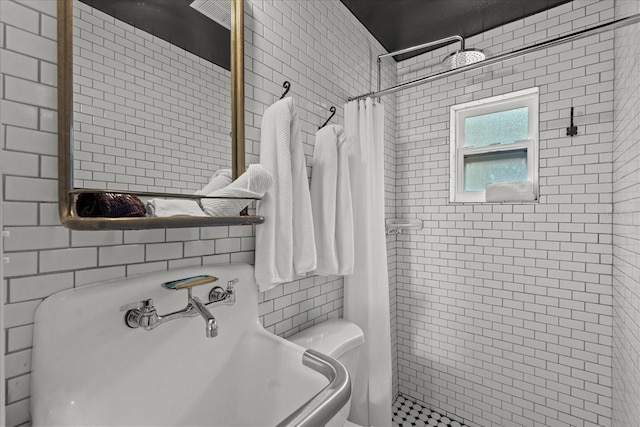 full bathroom featuring toilet, a sink, and a stall shower