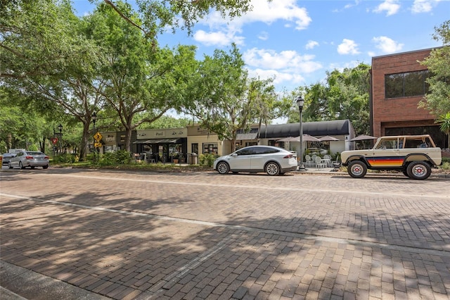 11222 Rapallo Ln, Windermere, FL 34786 - view of decorative road with street lighting and traffic signs