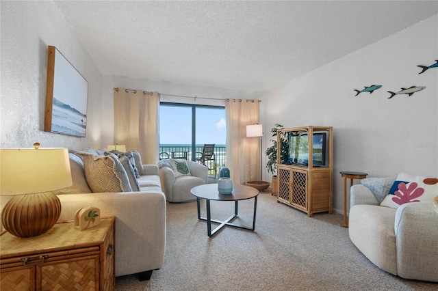 carpeted living room with a textured ceiling