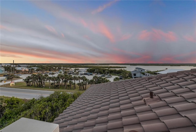 6771 Turtlemound Rd, New Smyrna Beach, FL 32169 - details featuring a tiled roof