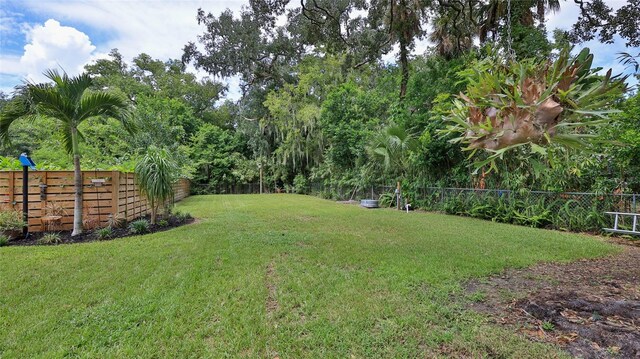 508 Faulkner St, New Smyrna Beach, FL 32168 - view of yard