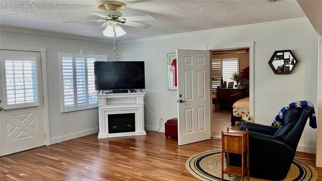 34 Richmond Dr, New Smyrna Beach, FL 32169 - living area with ceiling fan, a textured ceiling, and wood finished floors